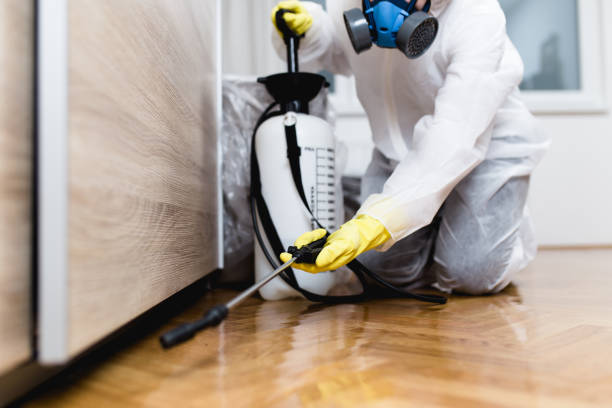 Best Commercial Pest Control Services  in Jemison, AL