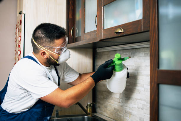 Best Bed Bug Extermination  in Jemison, AL