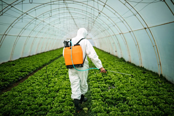 Best Pest Removal Services  in Jemison, AL