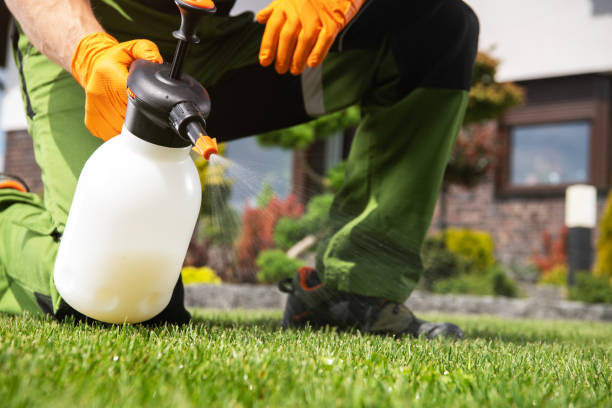 Best Affordable Pest Control Services  in Jemison, AL