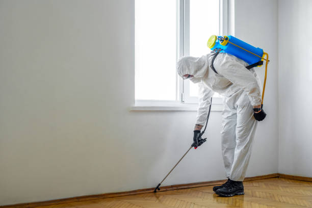 Best Wildlife Control Services  in Jemison, AL