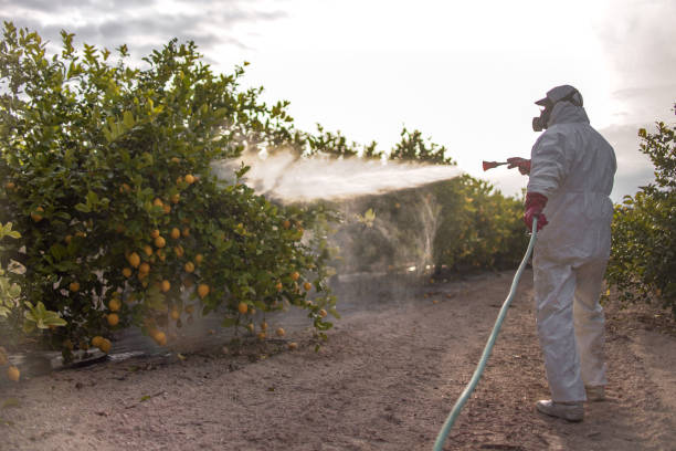 Best Affordable Pest Control Services  in Jemison, AL