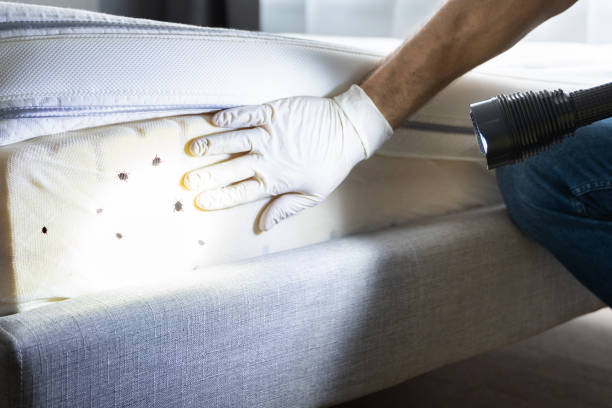 Professional Pest Control in Jemison, AL