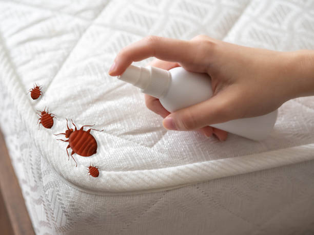 Best Affordable Pest Control Services  in Jemison, AL