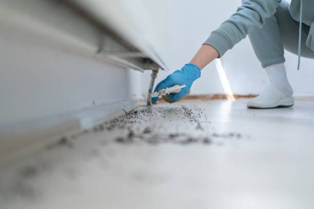 Reliable Jemison, AL Pest Control Solutions