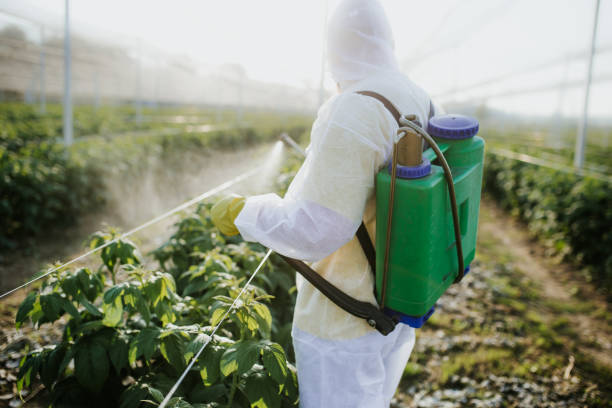Best Local Pest Control Services  in Jemison, AL